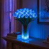 Radiant Romantic Tulip Light - BC ID: 437