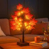 Solar Flame Light
