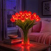 Radiant Romantic Tulip Light - BC ID: 1026