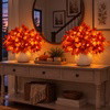 Enchanted Autumn Maple