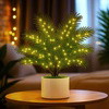 Palm Paradise Lamp™ - BC ID: 716
