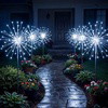 Stellar Starburst Light