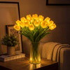 Radiant Romantic Tulip Light - BC ID: 1015