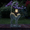Whisker Wonder Cat - BC ID: 452