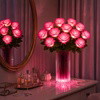Blissful Blooming Roses