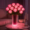 Blissful Blooming Roses