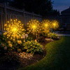 Starlit Starburst Light - BC ID: 1005