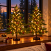 Radiant Ruby Maple Tree - BC ID: 1107
