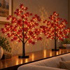 Glowing Majestic Maple Tree - BC ID: 1096