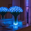 Radiant Romantic Tulip Light - BC ID: 437