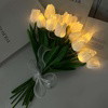 Radiant Romantic Tulip Light - BC ID: 437