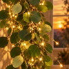Fairy Light Olive Vine - BC ID: 1088