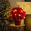 Radiant Ruby Poinsettia - BC ID: 497