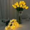 Radiant Romantic Tulip Light - BC ID: 1015
