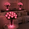 Blissful Blooming Roses