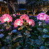 Fairy Hydrangea Lights - BC ID: 347