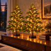 Radiant Ruby Maple Tree - BC ID: 1107