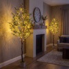 Olive Oasis Tree - BC ID: 592