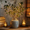 Fairy Light Olive Branch - BC ID: 255