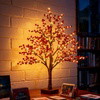 Red Berry Bloom Tree