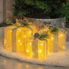 Golden Gleam Gift Box Set - BC ID: 489