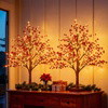 Red Berry Bloom Tree