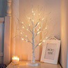 Enchanted Birch Tree - BC ID: 282