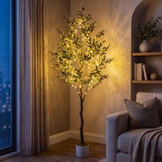 Olive Oasis Tree - BC ID: 592