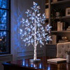 Winter Wishing Tree - BC ID: 1103
