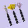 Vitae Charm Premium Pro-age Mascara