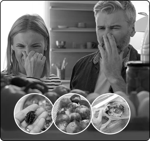 Bad Food