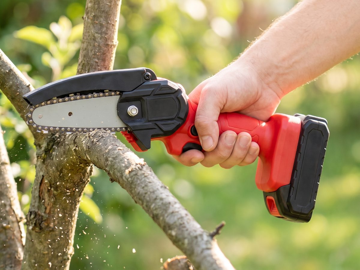 Cutting a backyard tree branch with the WOODRANGER Mini Chainsaw