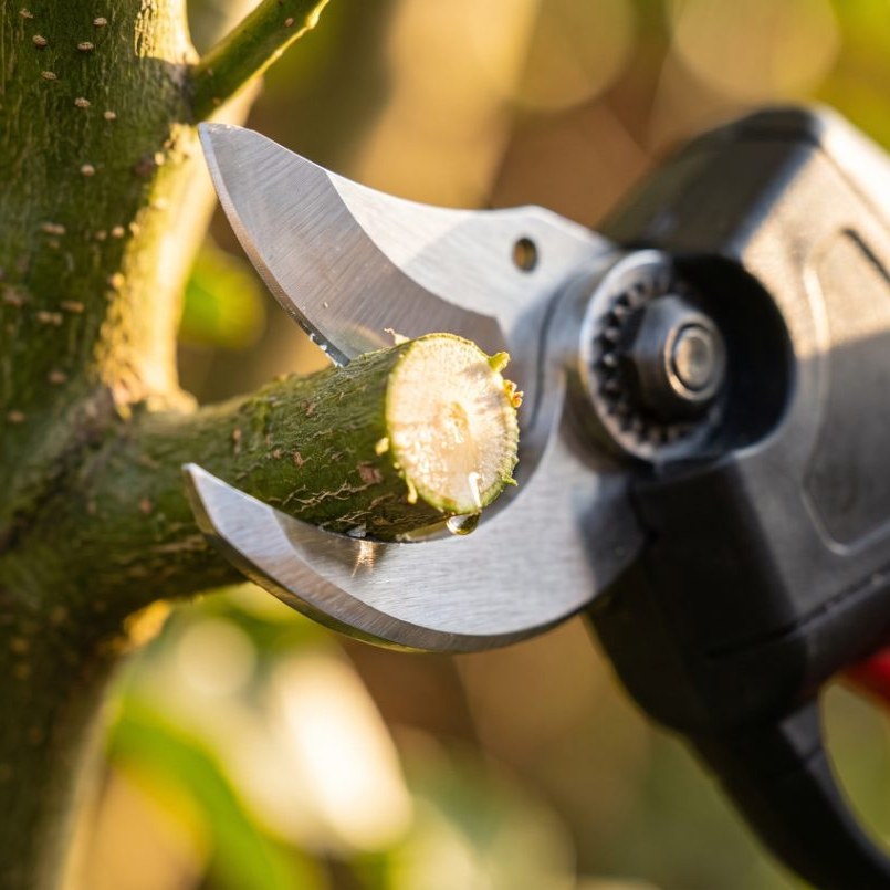 WOODRANGER® Power Shears - image 3