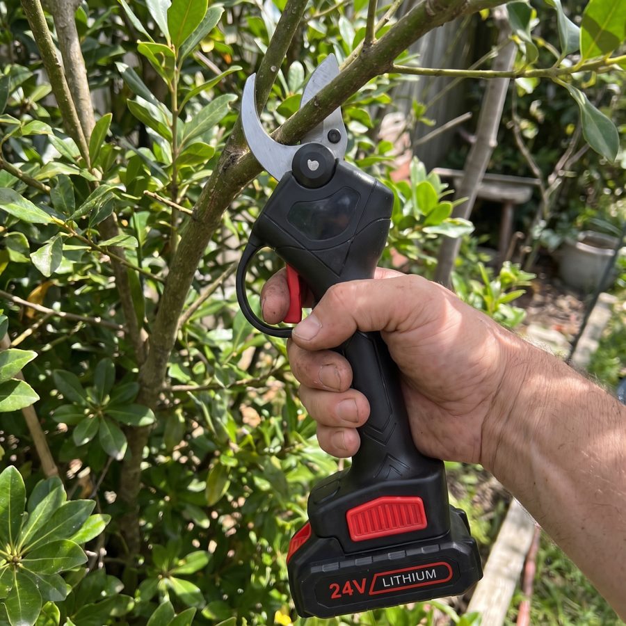 Trimming a tree limb with the WOODRANGER Power Shears