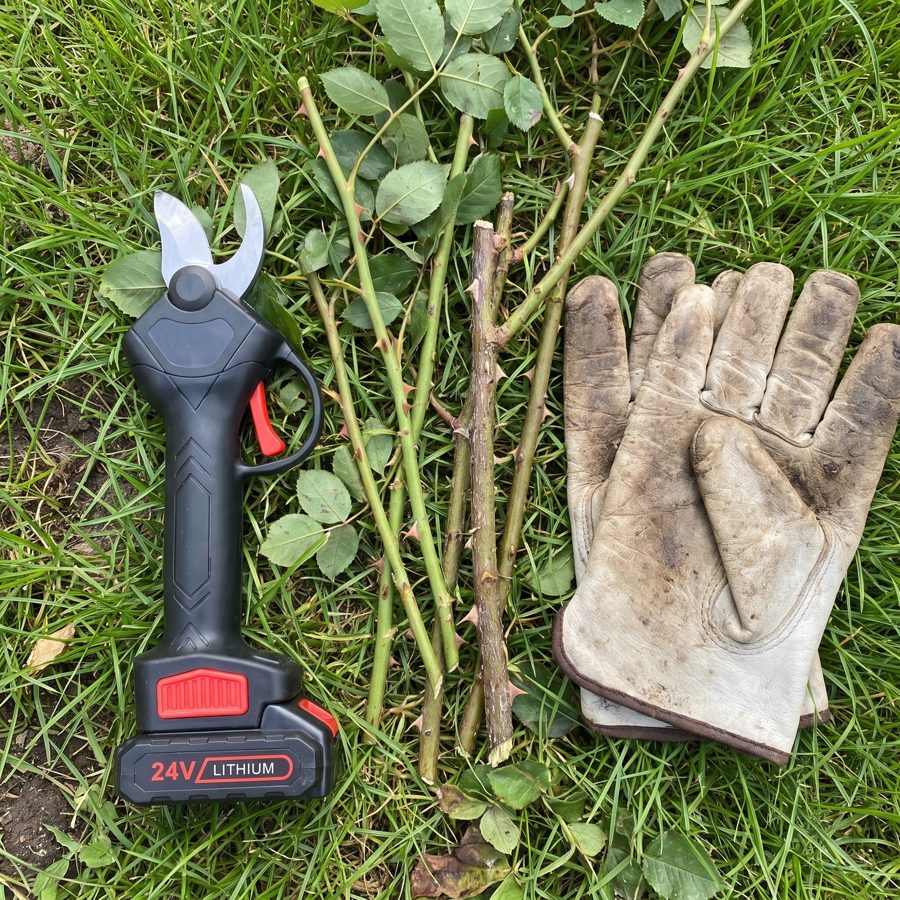 The compact, lightweight WOODRANGER Power Shears