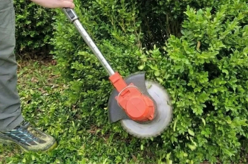 Trimming bushes