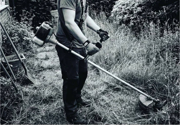 Traditional weed whacker