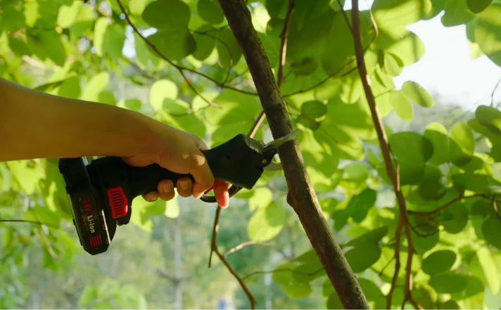 Cutting an overgrown tree branch with the WOODRANGER power shears