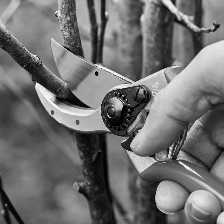 Person struggling with a heavy petrol power shears