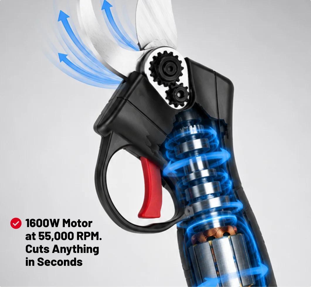 Cutaway of the 550W pure copper motor running at 55,000 RPM