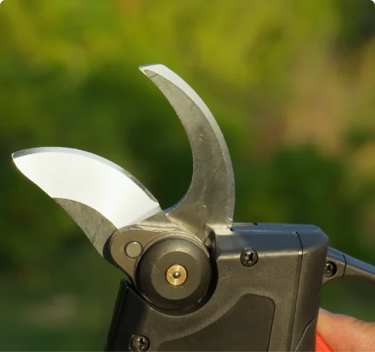 WOODRANGER standing on a lawn with both blades