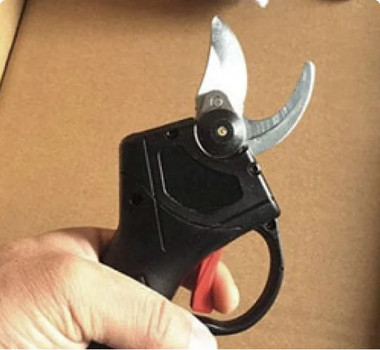 Close-up of clean, even cuts on a hedge