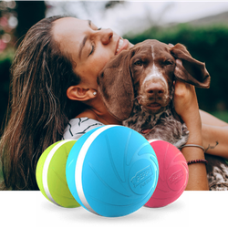 Peppy Pet Ball