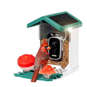 Happy Birdy Product