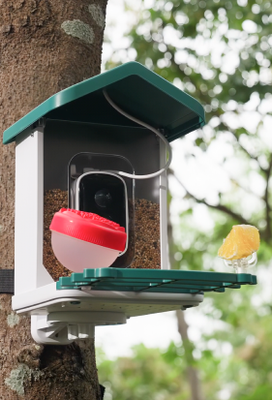 Mount Your Feeder