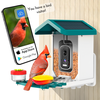 WuzuTech Happy Birdy
