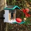 WuzuTech Happy Birdy