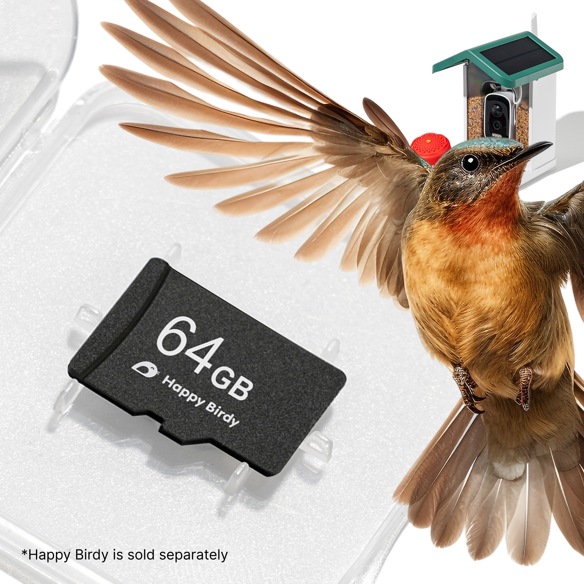 Happy Birdy Bird Feeder with 64GB MicroSD – Hassle-Free Local