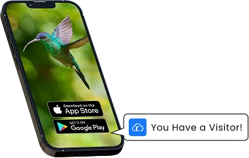 Happy Birdy app preview