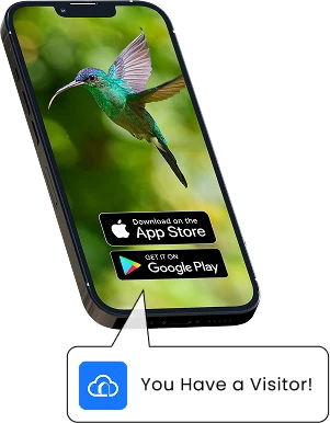 Happy Birdy app preview
